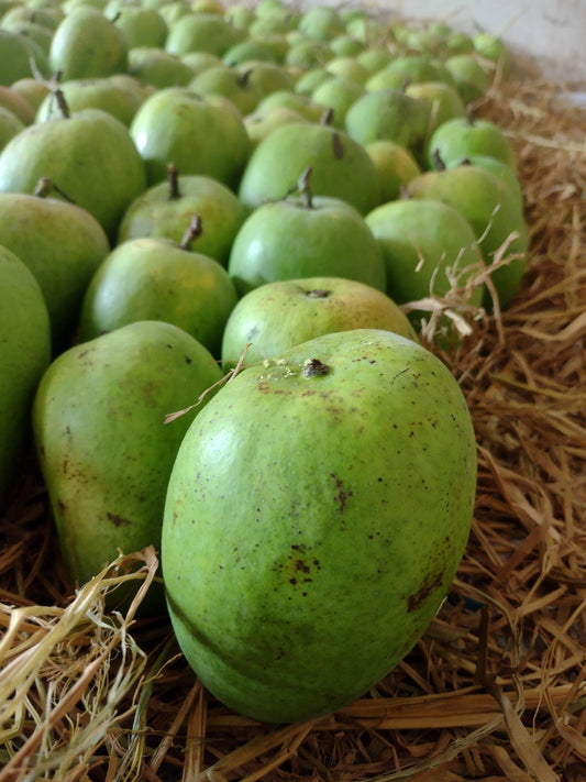 Alphonso Mango 3kg Box